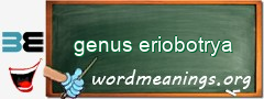 WordMeaning blackboard for genus eriobotrya